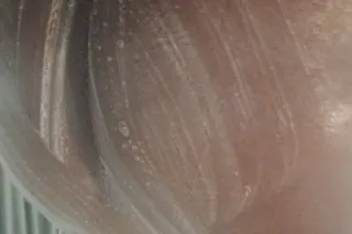 NASTZIE MOUF ANNIE - 24 - Image 1