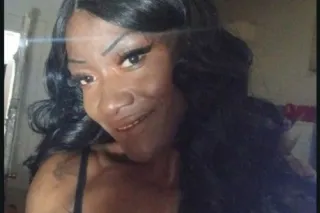 two chocolate kittens moving t... - Image 3