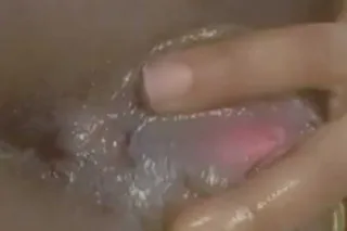 two chocolate kittens moving t... - Image 1