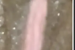 COME SLIP N SLIDE IS THIS WET ... - Image 2